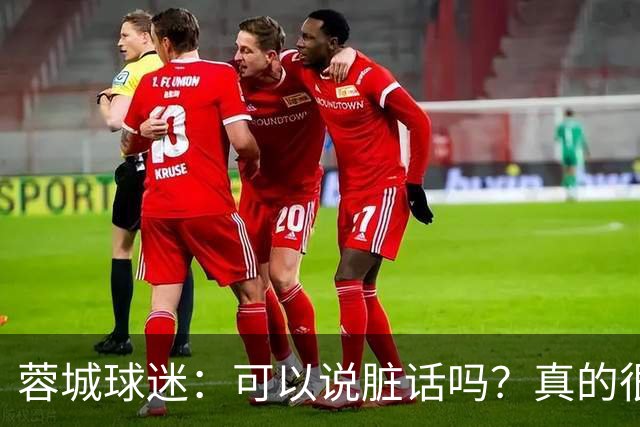 蓉城球迷：可以说脏话吗？真的很丢脸，主教练必须下课